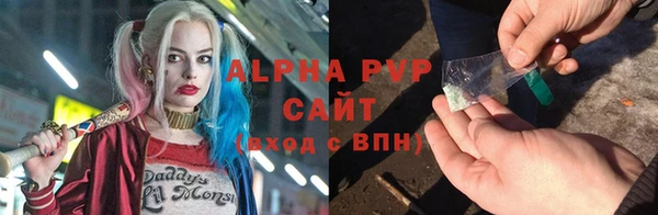 a pvp Пересвет