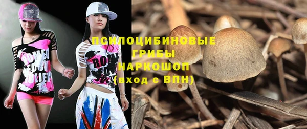 mix Армянск