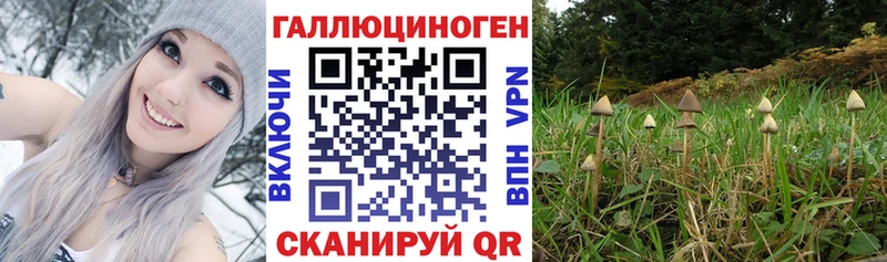 Галлюциногенные грибы Magic Shrooms  Белая Холуница 