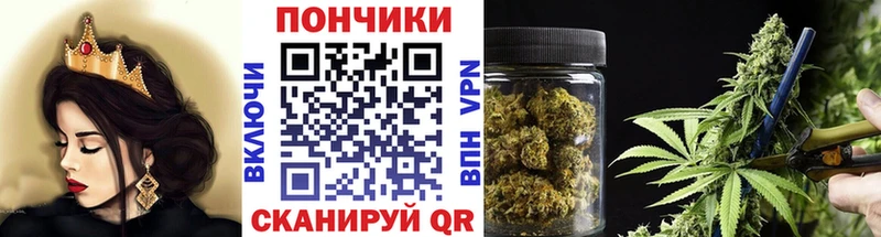 Шишки марихуана план  дарнет шоп  Белая Холуница 